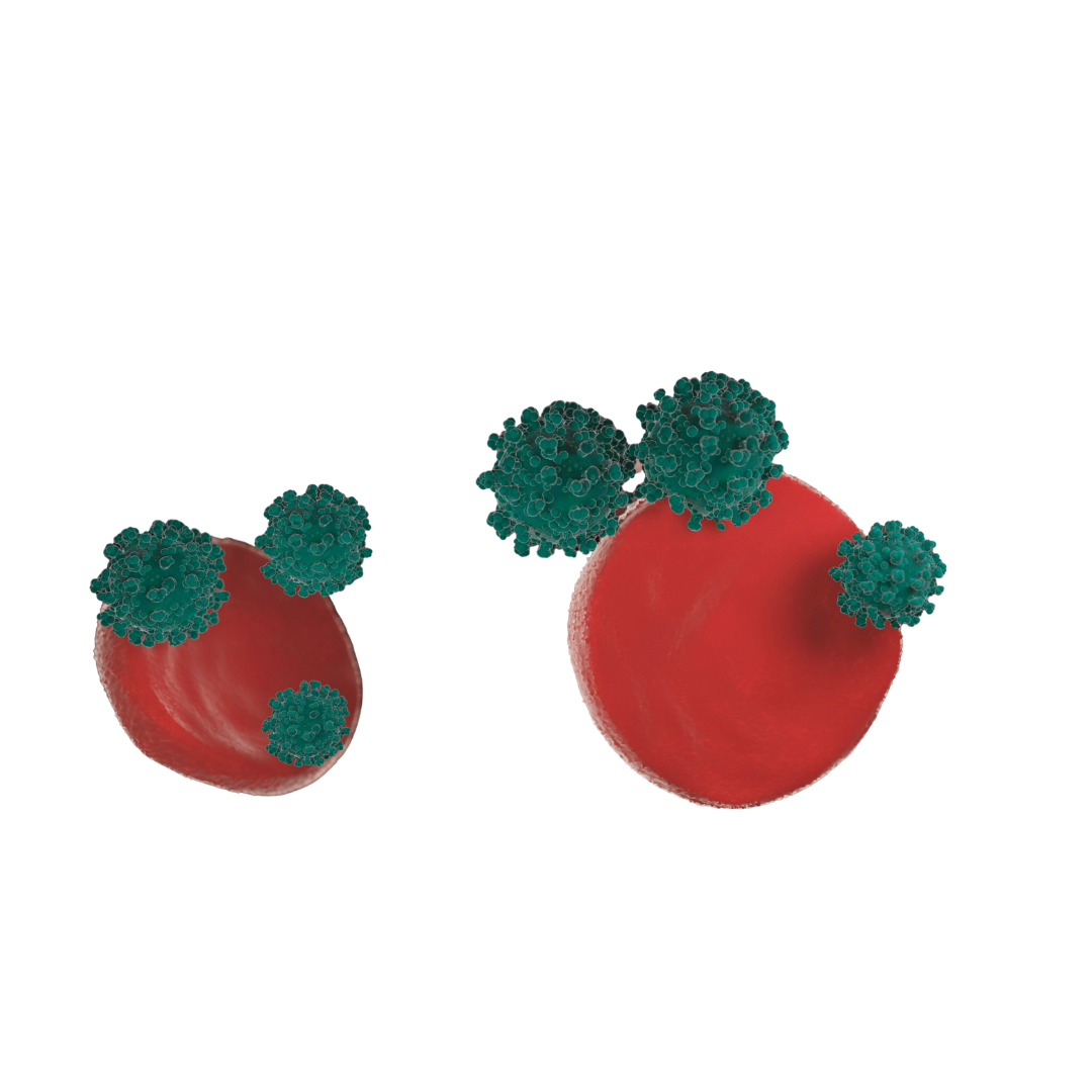 thrombocytopenic, thrombocytopenia treatment for children Aurangabad, thrombocytopenia in children symptoms and treatment, thrombocytosis in children causes